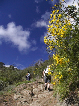 Wandern bei Fontanales im Norden von Gran Canaria
